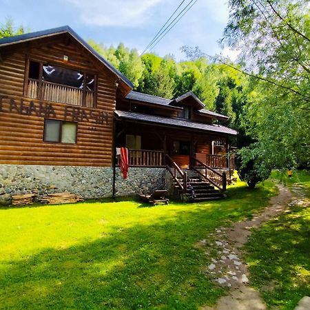 Cabana Frasin Dragoslavele Exterior photo