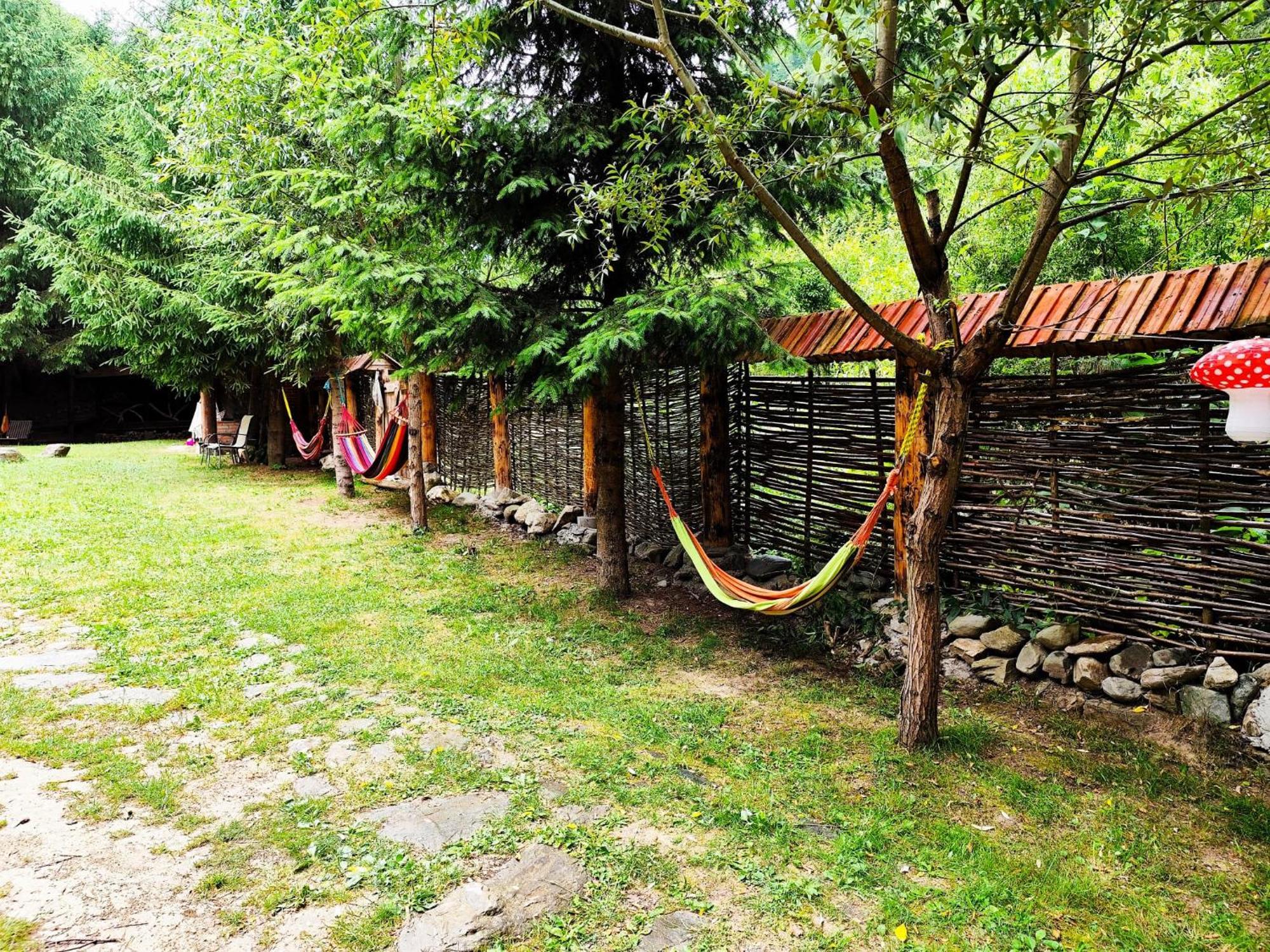 Cabana Frasin Dragoslavele Exterior photo
