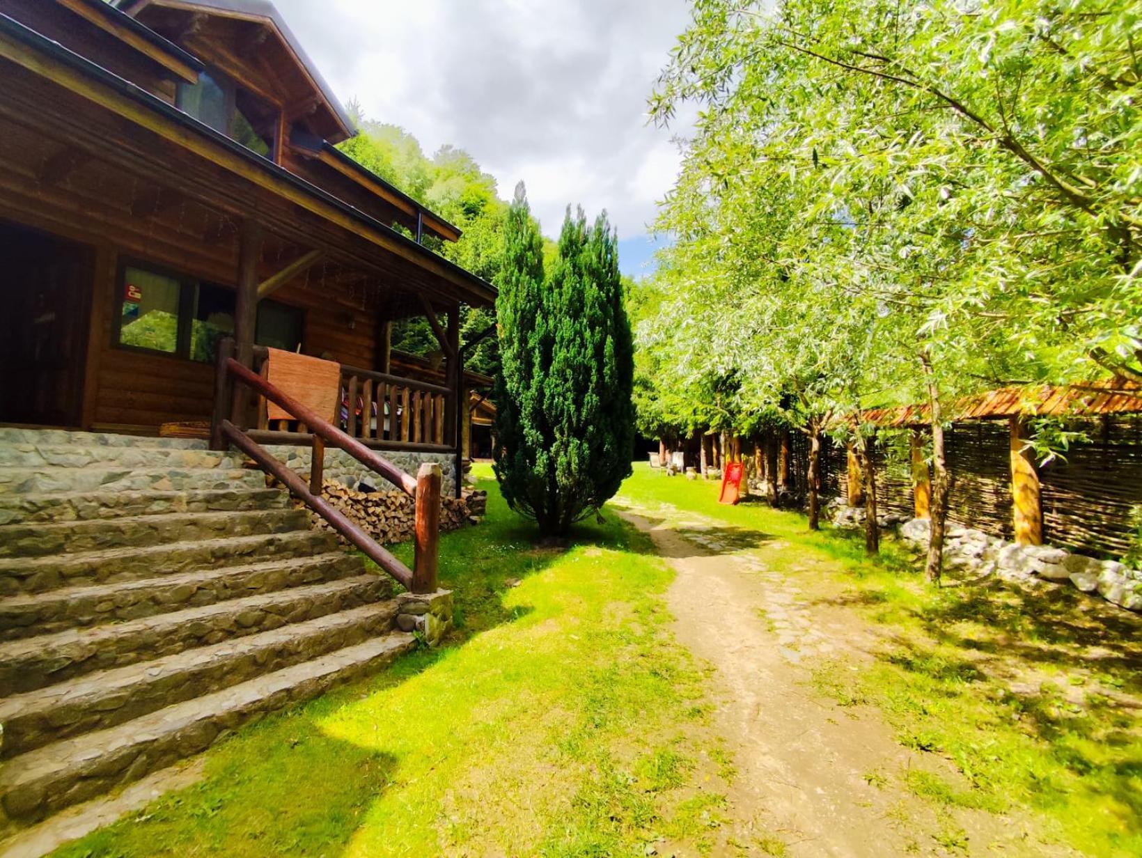 Cabana Frasin Dragoslavele Exterior photo